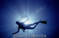 Silhouette of a young diver, Maui Hawaii
Light & Motion ... by David Espinoza 